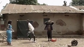 African Stud Adnanesh'S Big Cock In Action